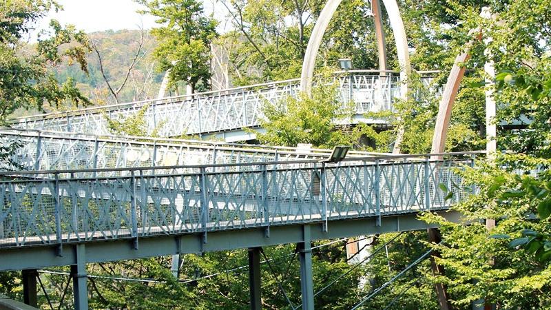 treetopwalk